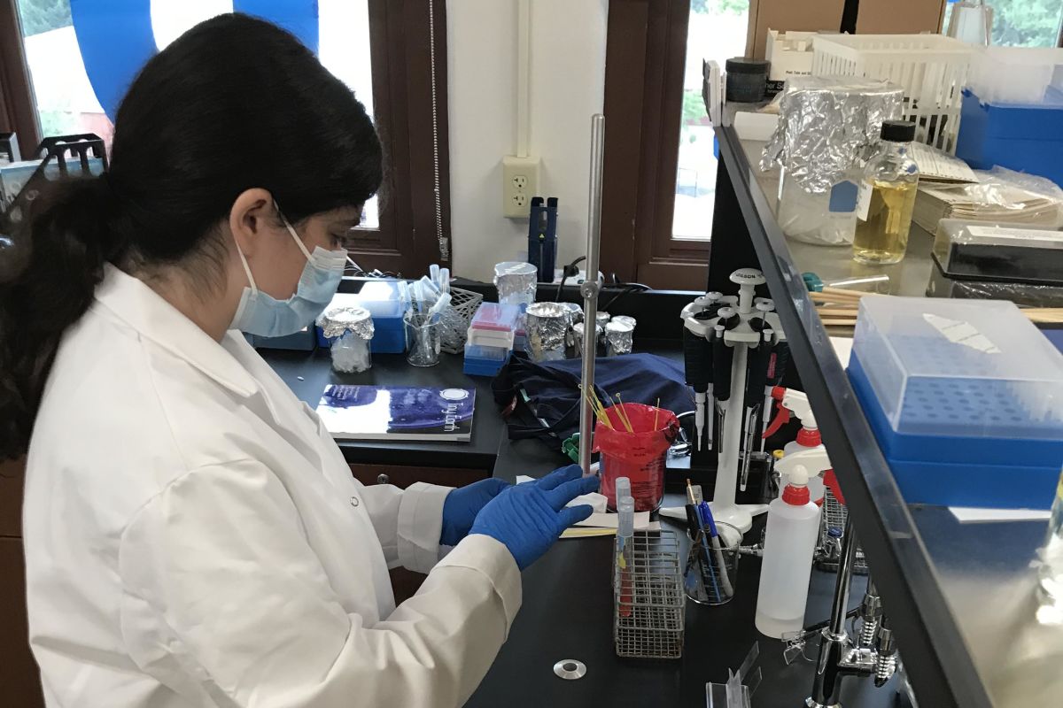 12 Summit seniors earned internships in area research laboratories