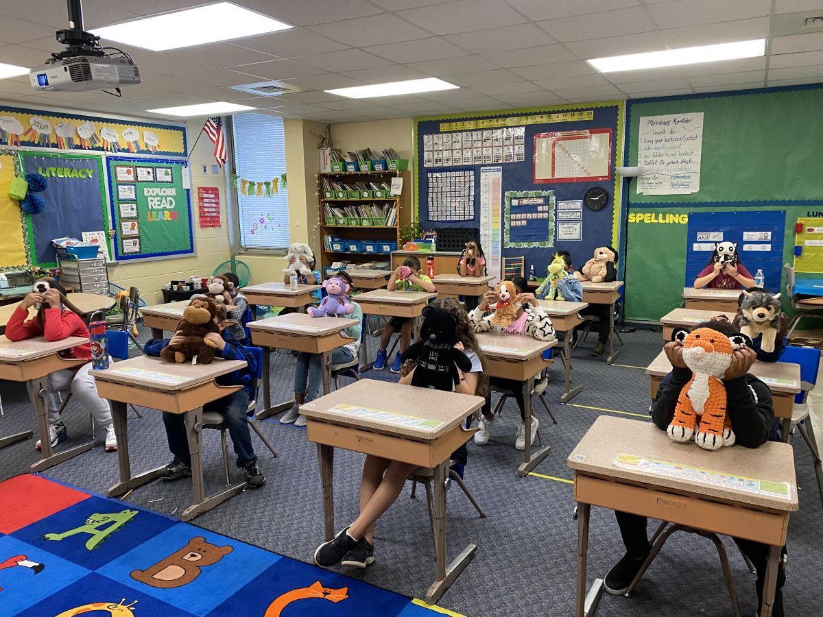 stuffed-animal-day-activities-in-a-virtual-world-second-grade-rocks