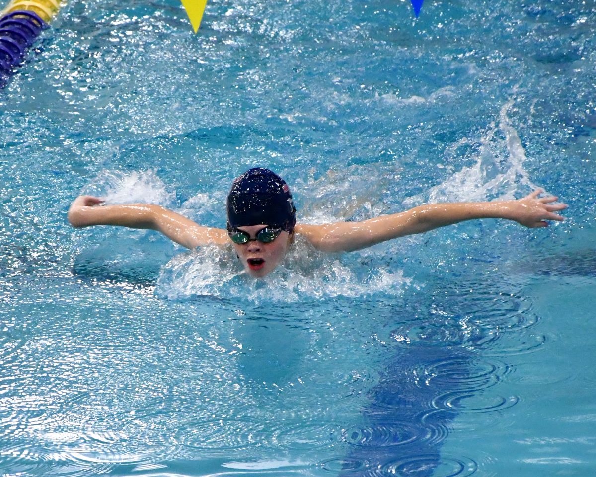 Registration now open for Northwest Narwhals swimming team | Details ...