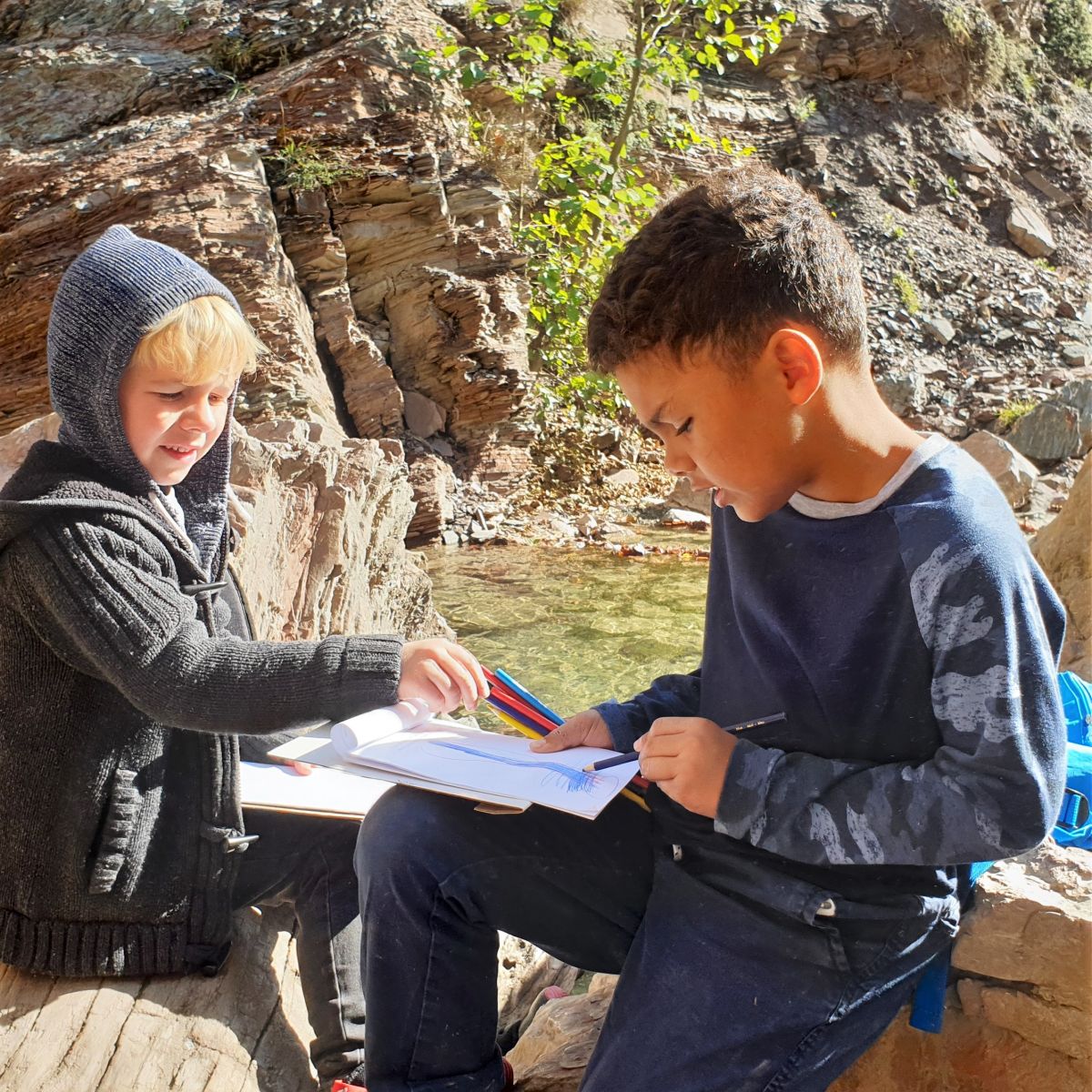 7YO How does Landscape Change over Time? Default Board Post Page