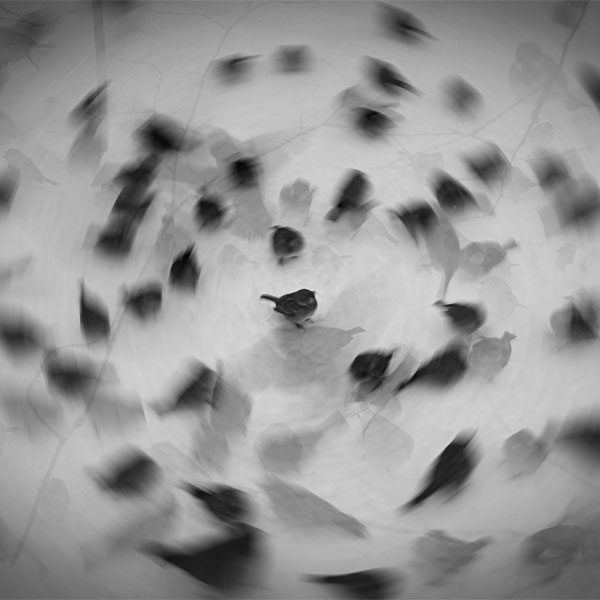 Hotchkiss Art Students Honored by Scholastic Art Association Including First Ever 'Best in Show