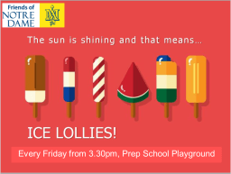 Ice Lollies on Sale Every Friday