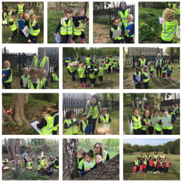 New Forest School Site - Nature Trail