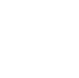 Athletics Branded Logos - Mount St. Dominic Academy NJ All Girls Catholic  School