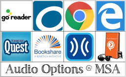 Icons for all the audio options available