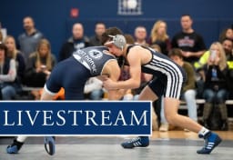 watch wrestling live stream