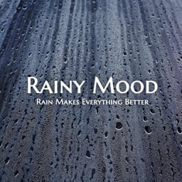 Download Rainy Mood app
