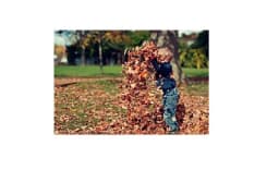 Young boy throwing leaves in air from a pile of leaves