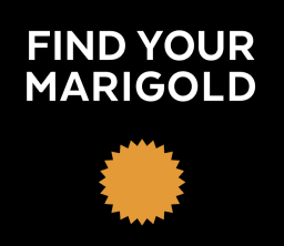Marigold