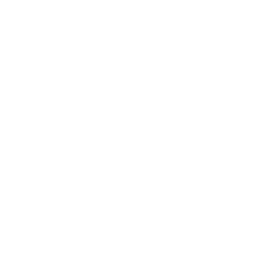Almaty International School