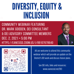 DEI Community Webinar