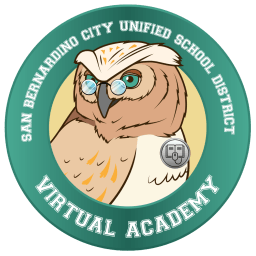 Home Virtual Academy
