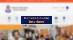 Canvas Course Interface