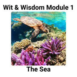 Wit & Wisdom Module 1: The Sea (sea turtle swimming over a colorful coral reef)