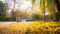 Western Academy of Beijing — Campus