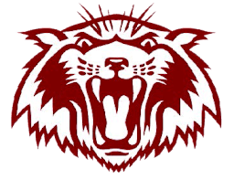 Plano Senior Wildcats Logo