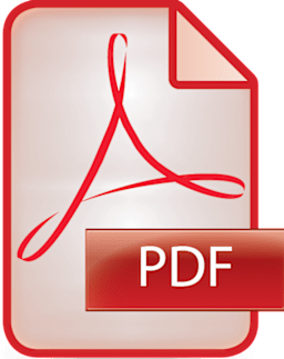 PDF-Icon