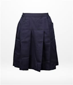 Navy Blue Skirt