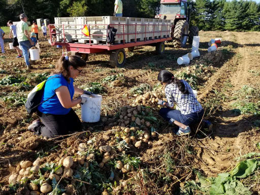 Gilman School Community Service