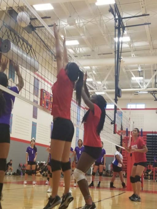 Colonel Volleyball Garland Isd