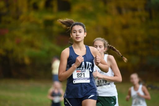 Girls Cross Country Defeats Gill St Bernard And Warren Tech Post