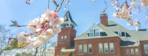 Thornton Academy Calendar 2022
