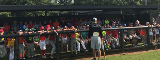 Baseball Camp St Pius X High School