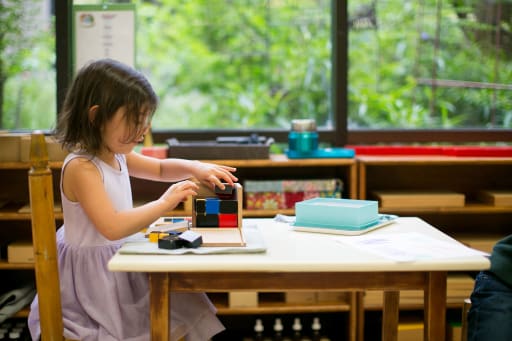 The Montessori School of Tokyo