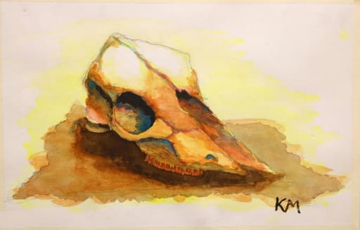 Cow Skull Watercolor Art Student Portfolios Post Details