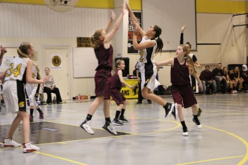 Girls Basketball Sproul Jr High