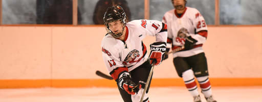 Girls Ice Hockey Academy Of The New Church