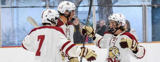 Boys Ice Hockey Academy Of The New Church
