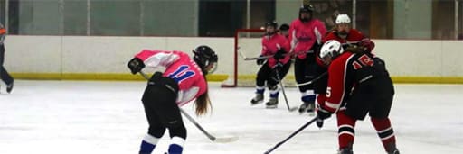 Stoughton Youth Hockey, Squirts B Roster, Winter Hockey