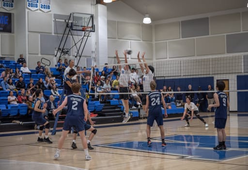Athletics Windward School