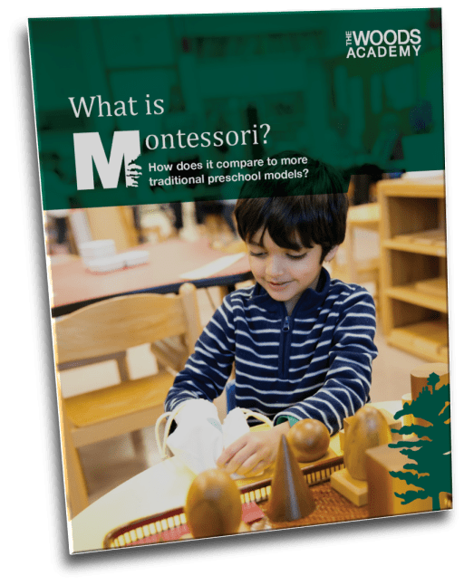 What's the Difference Between Montessori and Traditional Preschool