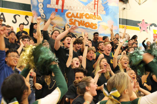 Home Live Oak High School