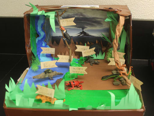 6th Graders Create Dioramas Depicting Costa Rican Rainforest | Morristown  Beard School News