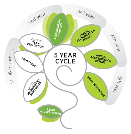 CIS 5-year accreditaation cycle