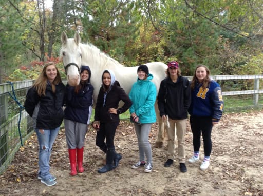 Students with a horse at the Minnesota Zoo Farm