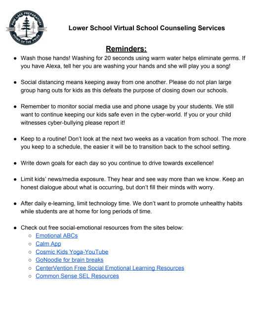 Virtual Counseling Pine Lake Prep