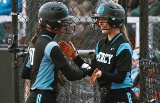 softball net academy