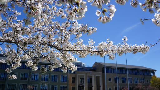 学院プロフィール Keio Academy