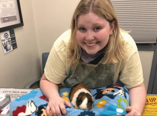 senior guinea pig food