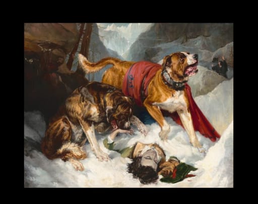 Alpine mastiffs reanimating a distressed traveler best sale