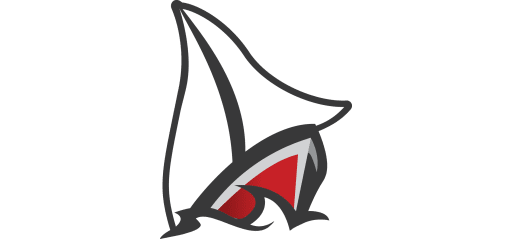 Activities - Detroit Lakes High School