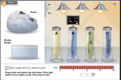 Science Labs in Remote Learning: All Grades, Several ...