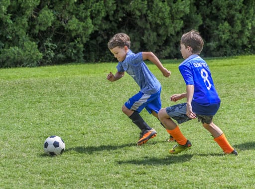 Summer Camps Christian Brothers High School