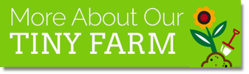 Summer At Kent Denver School