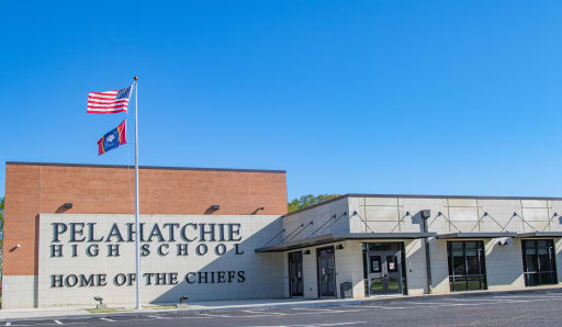 Pelahatchie mississippi online