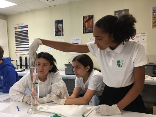 IB Middle Years Program - Ermitage International School